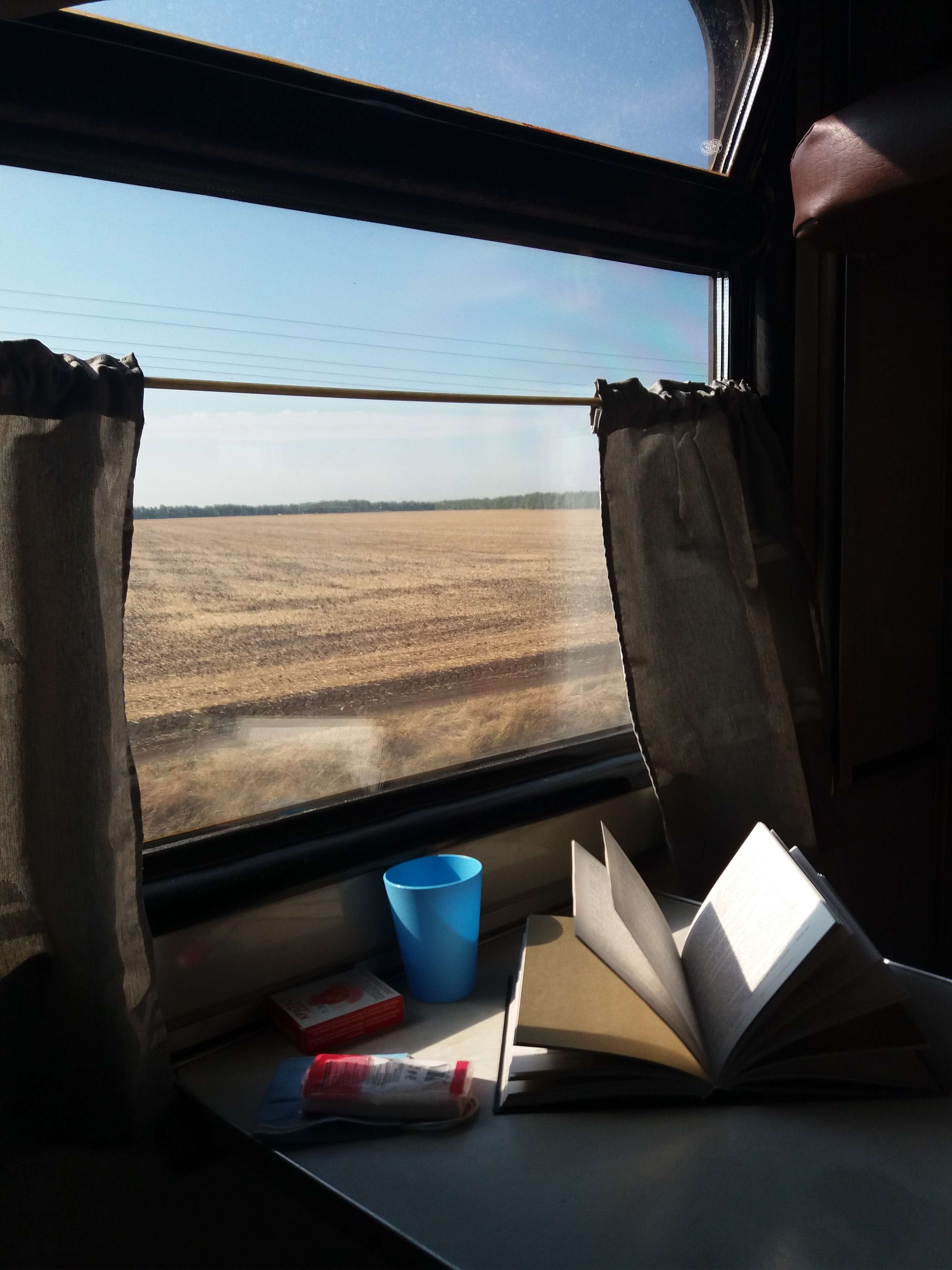 boek, trein, reis