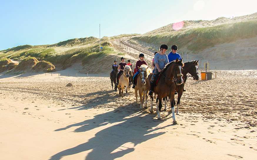 Ponykamp aan zee paardrijvakantie voor gevorderden, Ponykamp Nederland