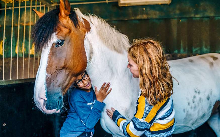 Ponykamp Nederland, paardrijvakantie, leren paardrijden